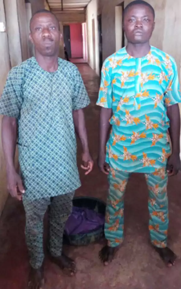 Money ritual: Police arrest Man, friend found with human parts in Ogun